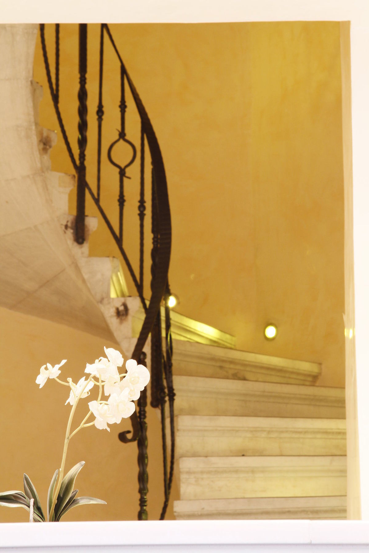 Piraeus Theoxenia Hotel Nội địa bức ảnh Staircase